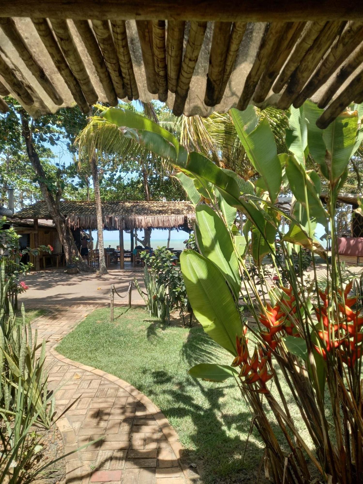 Coco Brasil Caraiva
