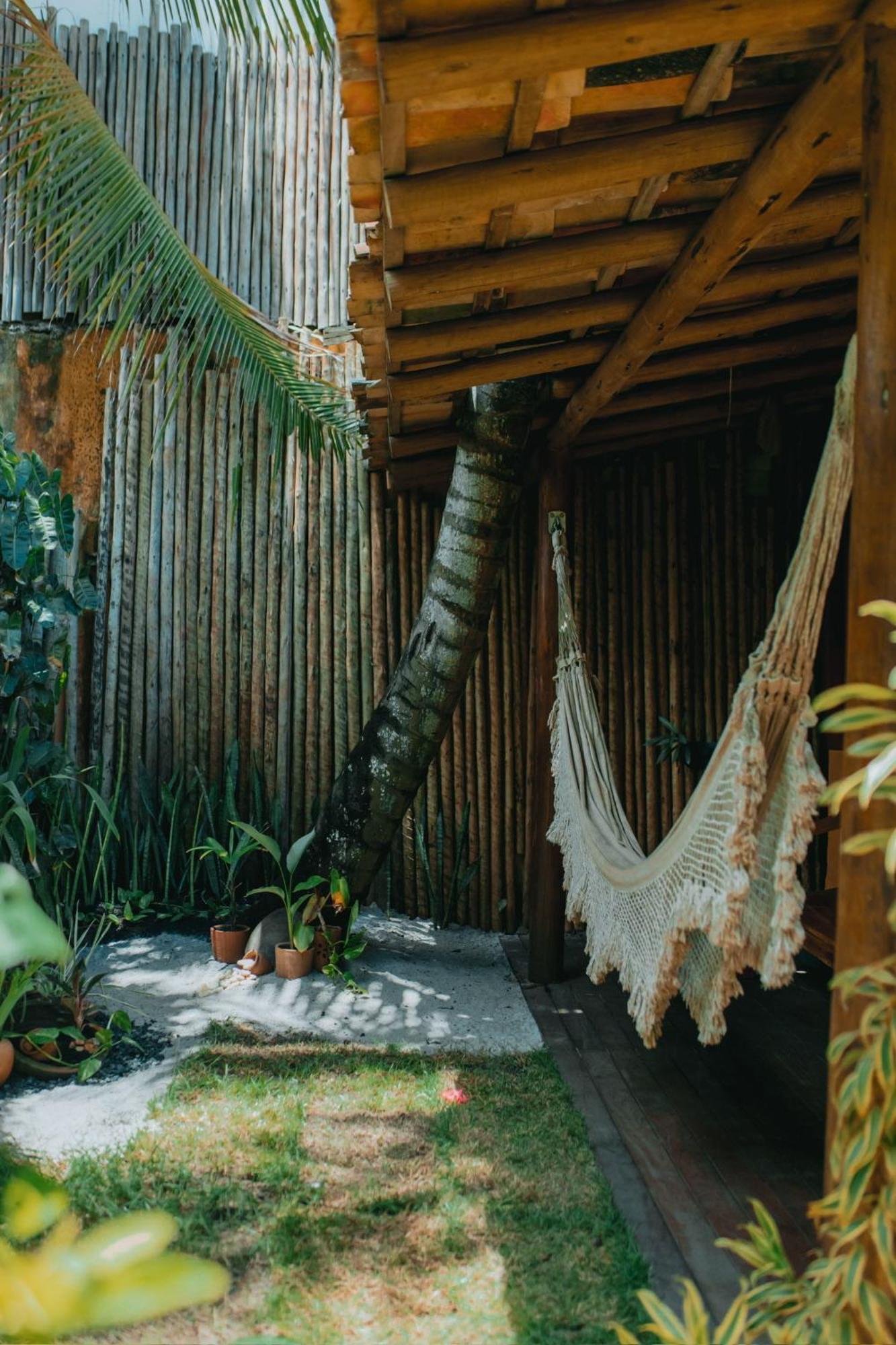 Coco Brasil